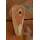 SIT Möbel Vitrine Riverboat 90 x 40 x 180 cm Mehrfarbig