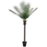 Europalms Phönix Palme deluxe, Kunstpflanze 220cm