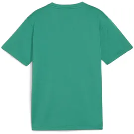 Puma teamGOAL Trikot Kids
