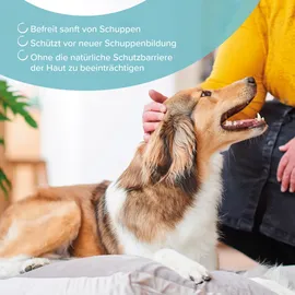 beaphar Anti-Schuppen Shampoo für Hunde & Katzen 250 ml