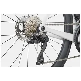 cannondale SuperSix EVO 5 2026 58 Zoll RH 58 cm grau