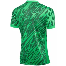 Nike Gardien V Dri-Fit Herren T-Shirt, grün - US: M