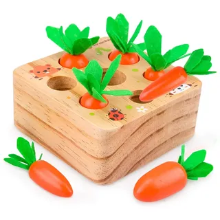 Dream Fun Spielzeug ab 1 Jahr kinder Mädchen Jungen, Montessori Spielzeug Baby Kinderspielzeug Holzspielzeug Kleinkinder Holzpuzzle 6 12 Monate Geburtstag Geschenke, Babyspielzeug
