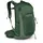 Osprey Talon 22 Wanderrucksack Grün