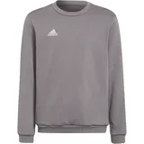 Adidas Entrada 22 Sweatshirt Kinder grau 128