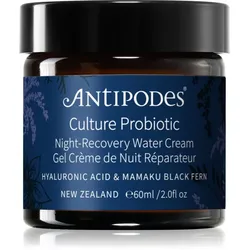 Antipodes Culture Probiotic Night Recovery Water Cream intensive Nachtcreme zur Revitalisierung der Haut mit Probiotika 60 ml