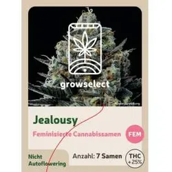 Jealousy | Feminisierte Cannabissamen von GrowSelect | 3 Hanfsamen