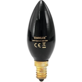 OMNILUX Kerzenlampe C35 40W E14