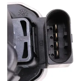 BorgWarner (Wahler) Borgwarner AGR-Ventil elektrisch, mit Dichtung