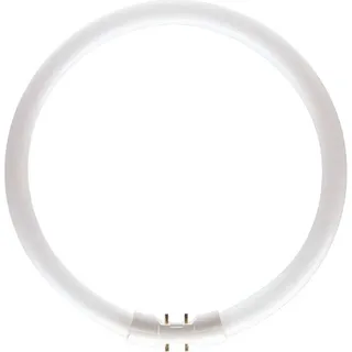 Philips Master TL5 Circular 55W/840 2GX13