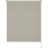 Schöner Wohnen Tageslicht-Rollo Tizia 80 cm x 210 cm Beige