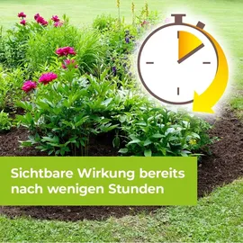 Protect Garden Permaclean Express Unkrautfrei AF 1