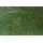 PlantaPro Salvia argentea P 0,5