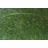 PlantaPro Salvia argentea P 0,5