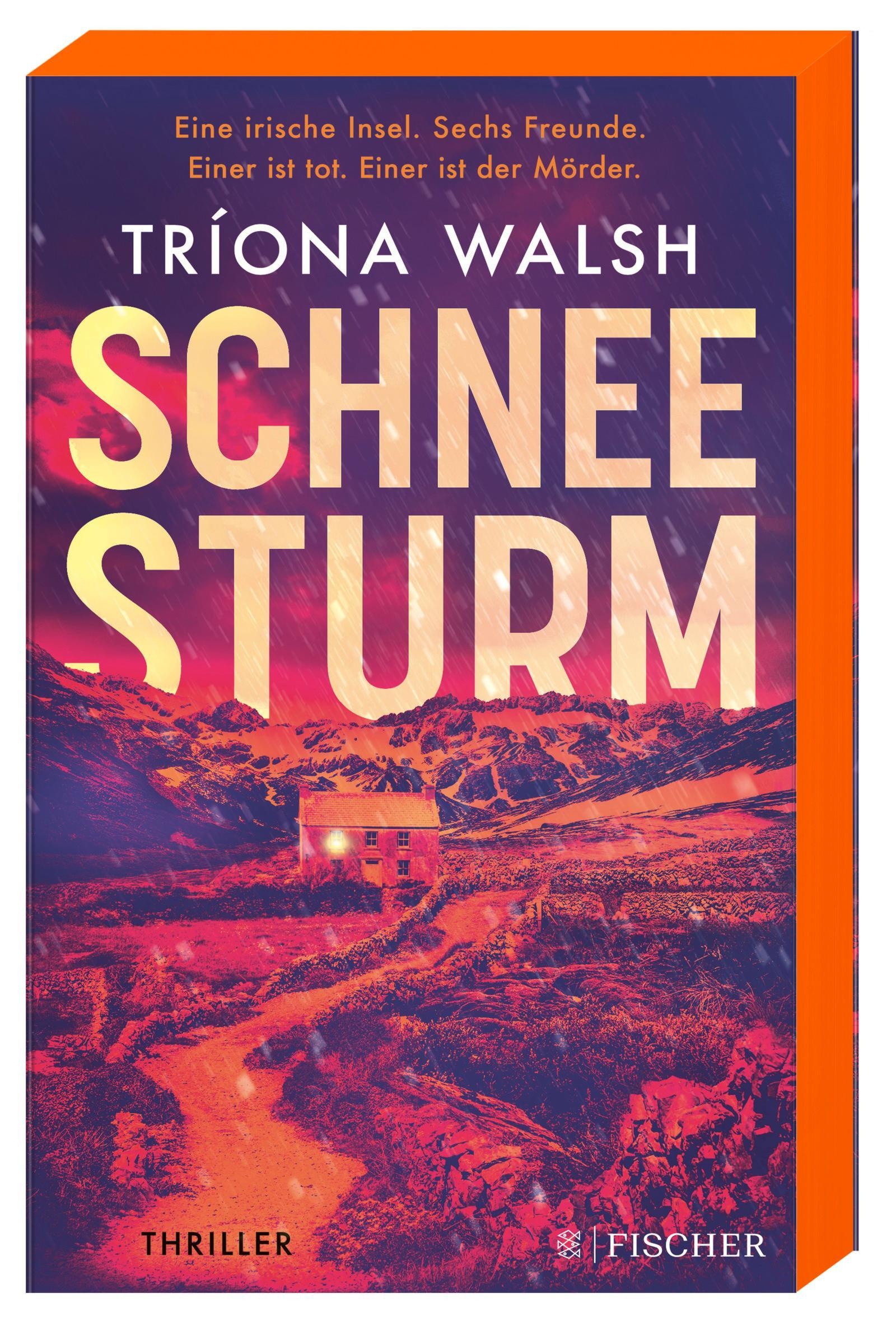 Schneesturm - Tríona Walsh  Kartoniert (TB)