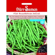 Dürr Samen Dürr-Samen - Buschbohnen Delinel Saatgut