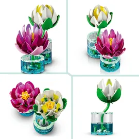 LEGO Botanicals Seerosen 11511