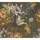ascreation PintWalls Vliestapete mit Blument-Motiv Rosen 0,53 x 10,05 m 385092 Gelb/Grau/Grün