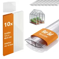 Relaxdays Doppelstegplatten 10er Set, mit Verbinder, Hohlkammerplatten 6 mm, Gewächshaus, HB: 121x60,5 cm, transparent