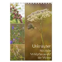 Calvendo Unkräuter - Nützliche Wildpflanzen auf der Wiese (Tischkalender