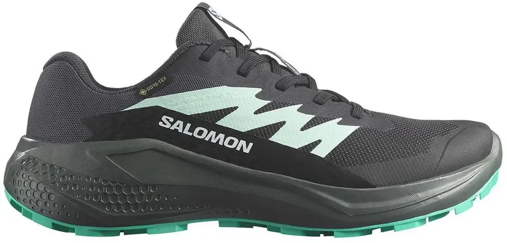 Salomon Damen Alphaglide GTX schwarz 44.0