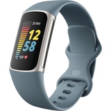 Fitbit Charge 5 graublau/edelstahl platin