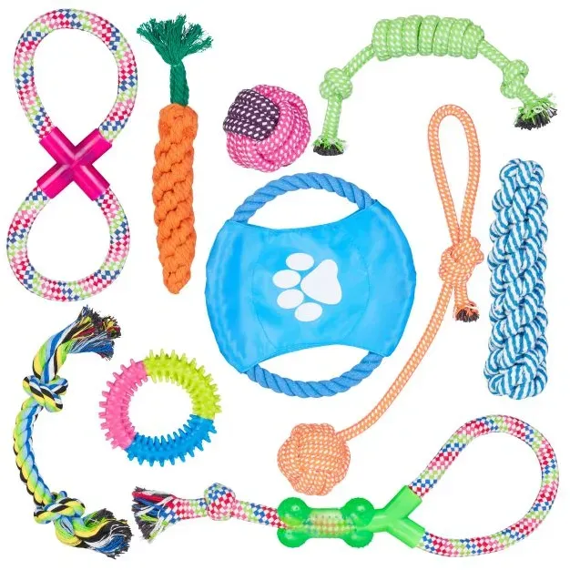 Relaxdays Hundespielzeug Set 10 teilig Blau,Grün,Orange