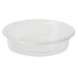 Greenbox rPET-Portionsbecher 0,05 l Transparent 100 St.