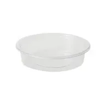 Greenbox rPET-Portionsbecher 0,05 l Transparent 100 St.