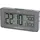 FILIUS ZEITDESIGN Funkwecker 0532-4 grau