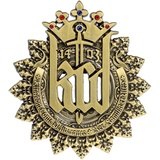 Kingdom Come: Deliverance Pin "Logo"