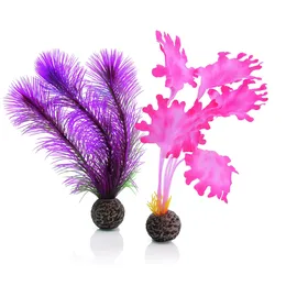 biOrb Seetang Set klein pink 46081