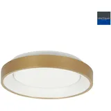 Steinhauer LED Deckenleuchte RINGLEDE Ø 28cm, 20W, 2700K, 1600lm, IP20, CRI>90, dimmbar, gold STE-3690GO