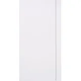 Baier & Schneider Wachsplatte 17,5x8cm 2 Stück