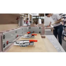Bessey Schubstangenspanner