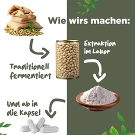 Blattwerk360 Nattokinase Kapseln 365 St.