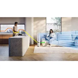 Dyson Purifier Cool PC1 TP11