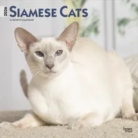 Browntrout Verlags GmbH Siamese Cats - Siamesische Katzen -