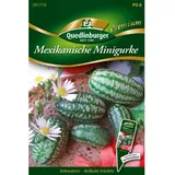 Quedlinburger Mexikanische Minigurke