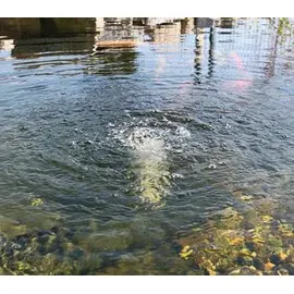 esotec Teichbelüfter Solar Air-S