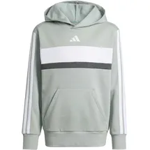 adidas Tiberio Wonder Sage 164