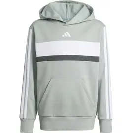 adidas Tiberio Wonder Sage 164