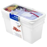 Rotho Domino 3er-Set Gefrierdosen 1.5l mit beschreibbarem Motiv auf dem Deckel, Kunststoff (PP) BPA-frei, weiss, 3 x 1.5l (23.3 x 11.8 x 11.2 cm), Weiß