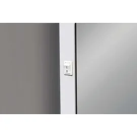 Schneider ARANGA Spiegel, 160.750.01.00,