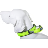 ArmoredTech Dog Control Halsband, neon grün S 33-38cm,30mm Hund