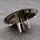 Geberit Ablaufdeckel d90mm Abdeckhaube Schwarz
