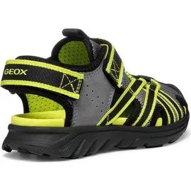 GEOX AIRADYUM BO Grau/Lime 27