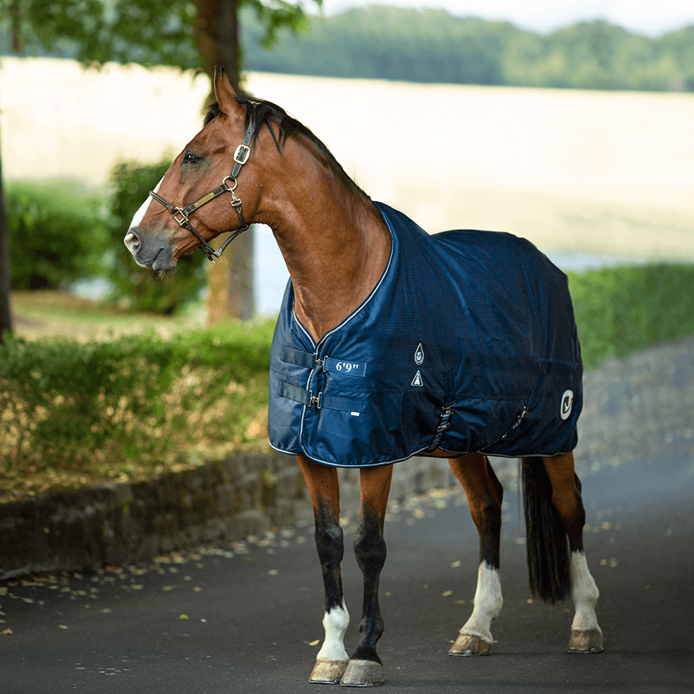 HorSeven Regendecke 50g mit Widerristpolster - marine/navy, 145