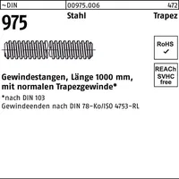 Hörger & Geßler Gewindestange Trapezgewinde 30 x 6 x 1000 mm 1 Stück