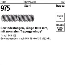 Hörger & Geßler Gewindestange Trapezgewinde 30 x 6 x 1000 mm 1 Stück